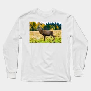 Majestic deer wall art photography Long Sleeve T-Shirt